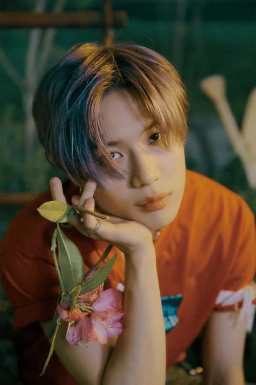 태민