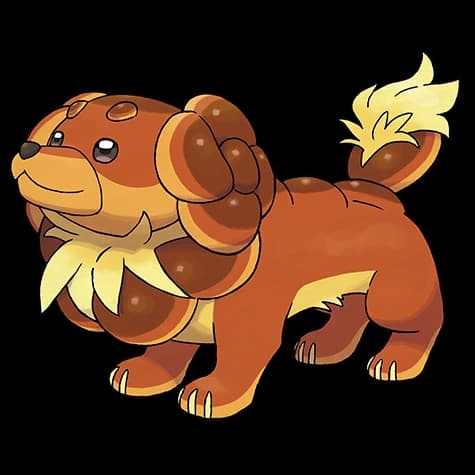 바우첼