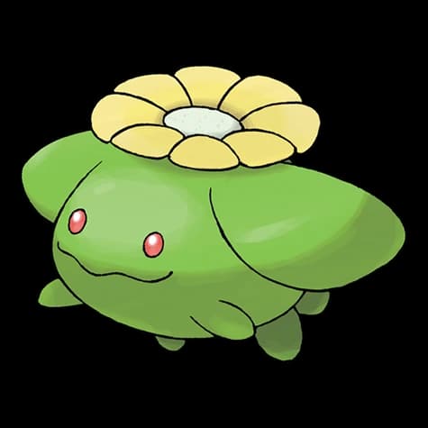 두코