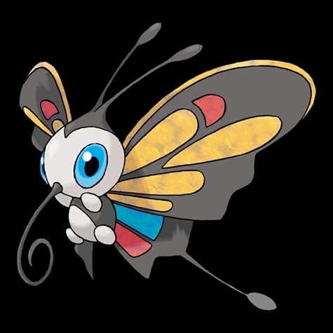 뷰티플라이