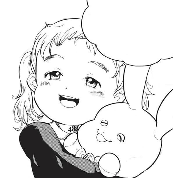코니