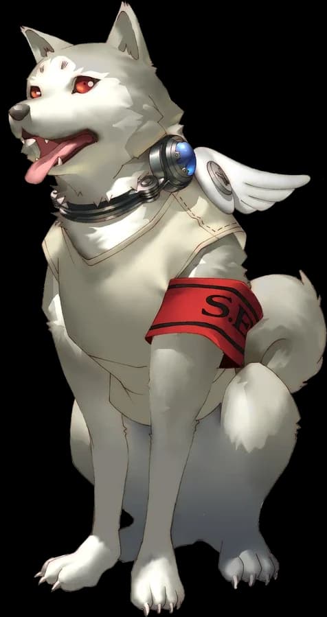 코로마루