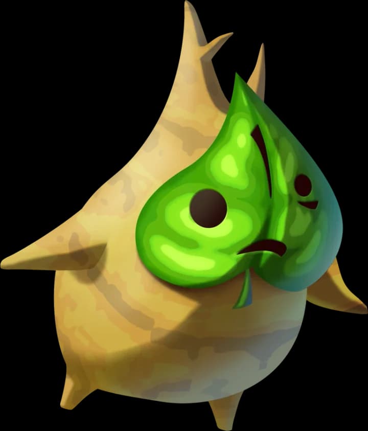마코르