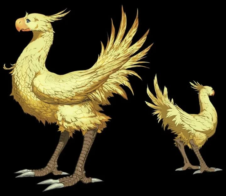 초코보