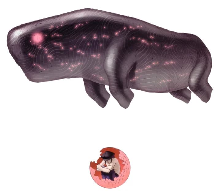 노아