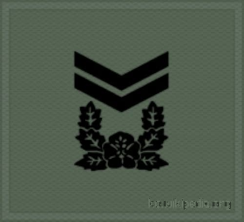 중사