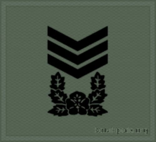 상사