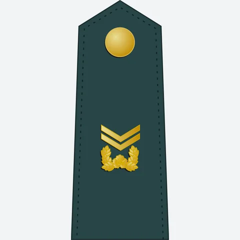 중사