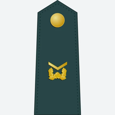 하사