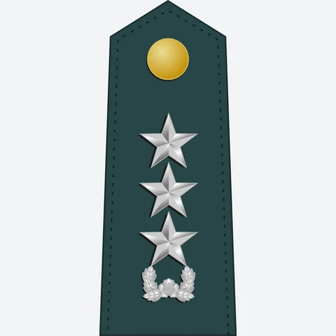 중장